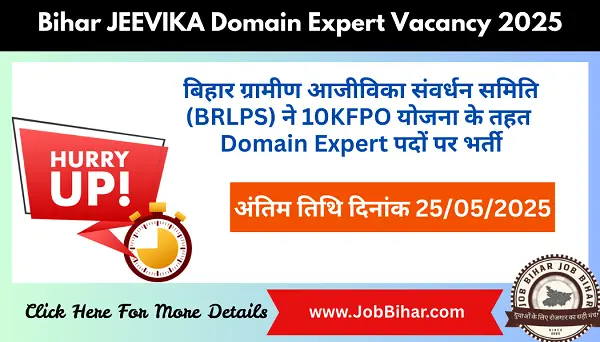 Job Bihar | Bihar JEEVIKA Domain Expert Vacancy 2025 - Apply Now | पात्रता, पदों की संख्या, वेतन, आवेदन प्रक्रिया और अंतिम तिथि - Job Bihar